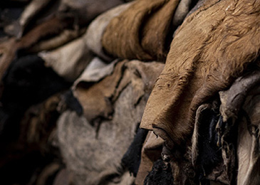 Why we upcycle a food industry by-product into car leather